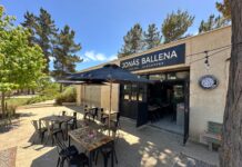 Jonás Ballena: La Revolución Gastronómica en Algarrobo