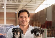 (Columna) Golpe de calor: cómo la nutrición ayuda a proteger a las mascotas durante el verano