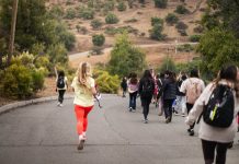 ALZAR proyecta nuevas ediciones de “The Rise” y abre vocerías para medios tras su creciente convocatoria femenina