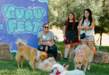 Avísale a tu perro: Vuelve GuauFest, el primer parque de diversiones 100% pensado para ellos