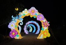 Tianfu Festival: el panorama nocturno que muchos están visitando por segunda vez