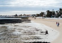 Alternativas “BBB”: Los cuatro destinos costeros más económicos para disfrutar comida marina en Semana Santa