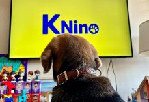 De la mano de Claro y VTR llega KNino, el primer canal chileno que convierte la televisión en compañía para los perros