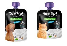 HELADOS Y YOGURES PARA PERROS Y GATOS —INEXISTENTES HASTA AHORA EN CHILE— ARRIBAN AL PAÍS: YOW UP! APUESTA POR LA INNOVACIÓN EN SNACKS LACTEOS FUNCIONALES