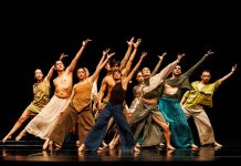 FINTDAZ 2026 anunció las 33 compañías nacionales que participarán en sus 19 años