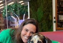 Mascotas en la oficina ganan terreno como aliadas del bienestar y la productividad laboral