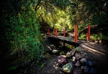 PARQUE GUAY GUAY, EL SEGUNDO PARQUE URBANO MÁS GRANDE DE SANTIAGO, ABRE SUS PUERTAS CON UN FESTIVAL OUTDOOR ABIERTO AL PÚBLICO