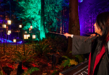 Ya están a la venta las entradas para Harry Potter™: La Experiencia del Bosque Prohibido en Santiago