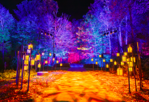 Harry Potter™️: La Experiencia del Bosque Prohibido debuta en Chile este otoño en el Parque Quinta Normal