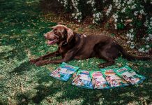 Semana Santa: Los huevitos no pueden quedar al alcance de las mascotas