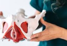 Hasta un 56% de las mujeres podrían experimentar dolor en algún momento de su vida sexual: la realidad que muchas aún viven en silencio