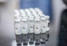 El riesgo de repetir la historia: La negociación en la OMS que definirá quién se salva en la próxima pandemia