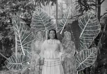 LA MEXICANA CITLALI FABIÁN CONSIGUE EL MÁXIMO GALARDÓN EN LOS SONY WORLD PHOTOGRAPHY AWARDS 2026: ¡FOTÓGRAFA DEL AÑO!