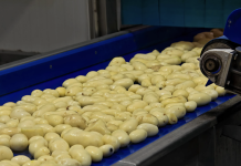 La cuenta invisible de los snacks: producir más con menos agua
