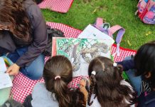 Leer juntos para crecer más seguros: la propuesta de Fundación ALMA frente a la violencia escolar