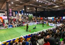 Llegó mayo y se acerca una nueva versión de Expo Mascotas & Animales