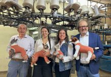 Innovación chilena para mascotas: Tres emprendimientos chilenos que están revolucionando el bienestar animal en el mundo