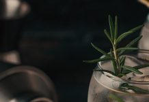 Un laboratorio en el Valle de Elqui impulsa nueva generación de destilados premium