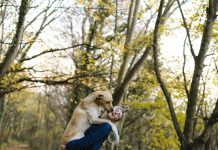 Expertos llaman a fomentar la adopción responsable en Chile