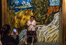 Vacaciones de Invierno en Santiago: Van Gogh en Vivo para toda la familia