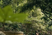 Parque Tricao se posiciona como el panorama ideal para conectar con la naturaleza estas vacaciones de invierno